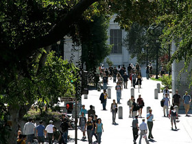 Converse UC Berkeley