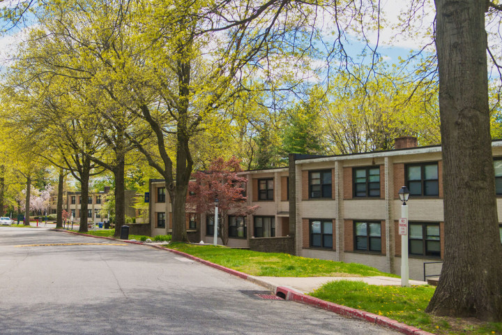 King’s Education New York