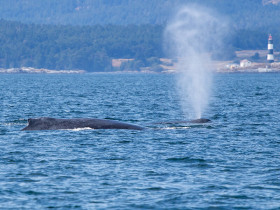 Academic Camp Canada British Columbia