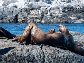 Academic Camp Canada British Columbia