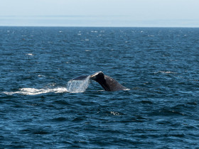Academic Camp Canada British Columbia