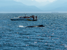 Academic Camp Canada New Brunswick