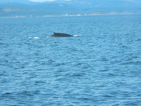 Academic Camp Canada New Brunswick