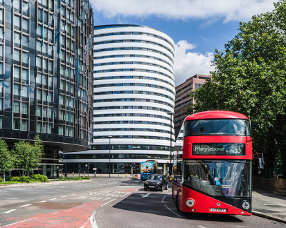 Academic Summer DLD College