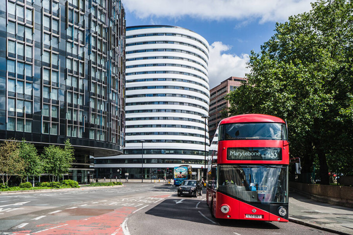 Academic Summer DLD College