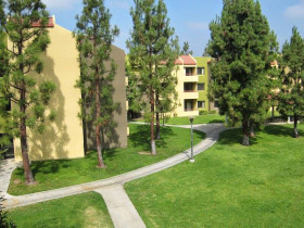 Embassy Summer California State University