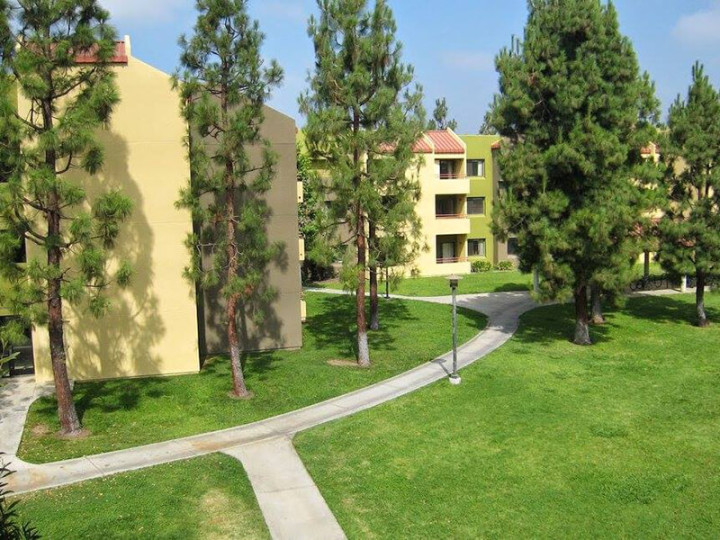 Embassy Summer California State University