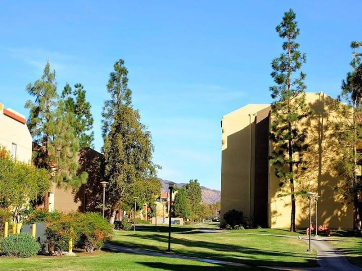 Embassy Summer California State University