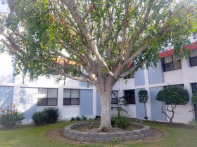 FLS Explore California Junior