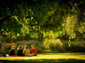 Программы ONCAMPUS в Lund University