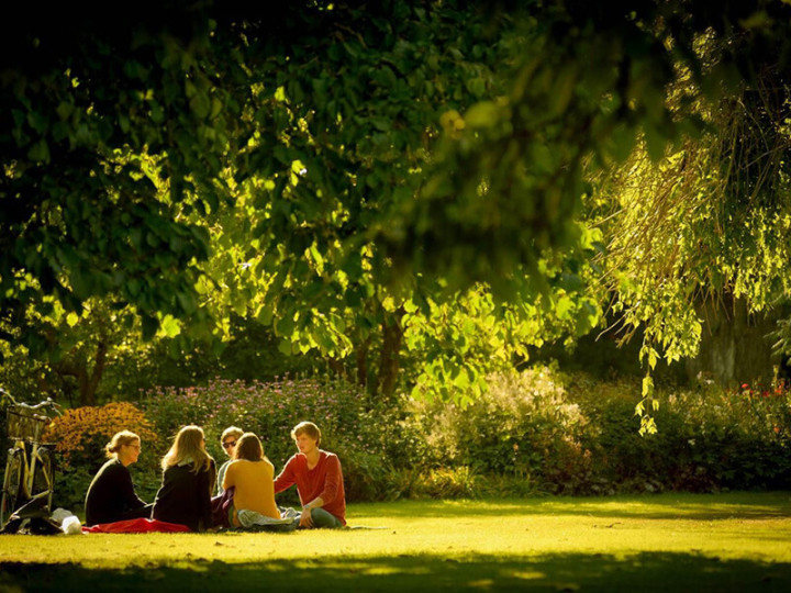 Программы ONCAMPUS в Lund University