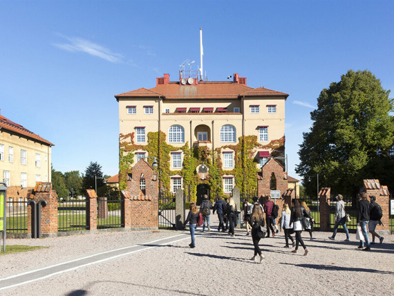 Kristianstad University (университет Кристианстада) | Обучение в Швеции | Глобал Диалог