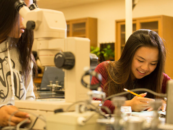 California State University Fullerton