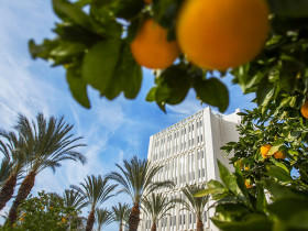 California State University Fullerton