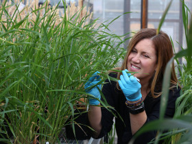 The University of  Nottingham