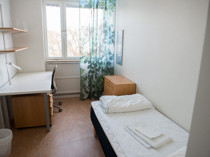 BI Norwegian Business School