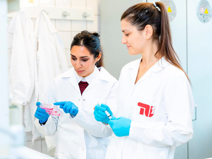 Технический университет Берлина