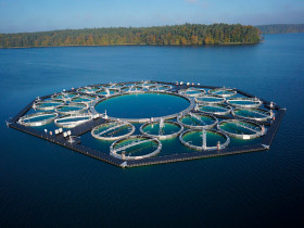 Технический университет Берлина