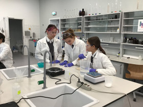 Brookes Moscow School