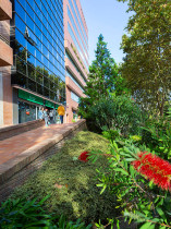 EU Business School Barcelona