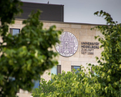 Гейдельбергский университет