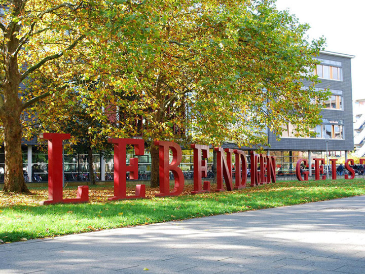 Гейдельбергский университет