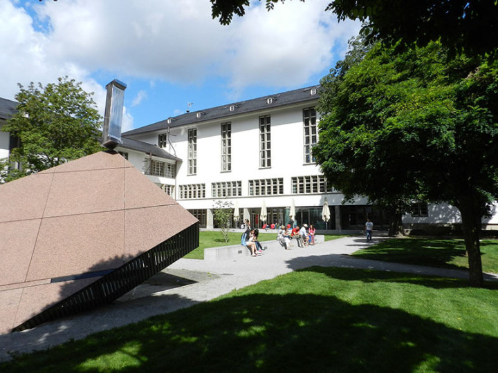 Гейдельбергский университет