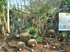 Гейдельбергский университет