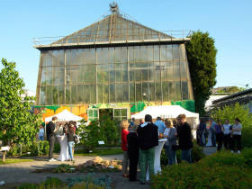 Гейдельбергский университет