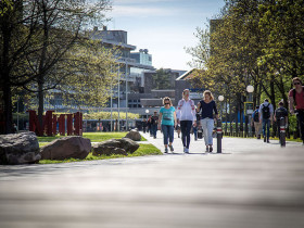 Гейдельбергский университет