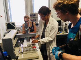 Humboldt-Universität zu Berlin