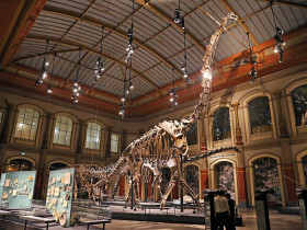 Humboldt-Universität zu Berlin