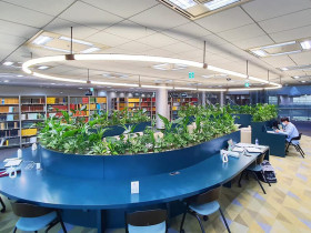 Pohang University of Science And Technology