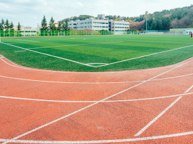 Pohang University of Science And Technology