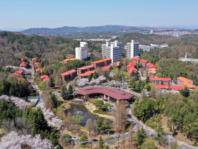Pohang University of Science And Technology