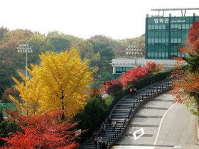 Sungkyunkwan University
