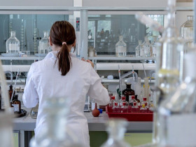 Dresden University of Technology