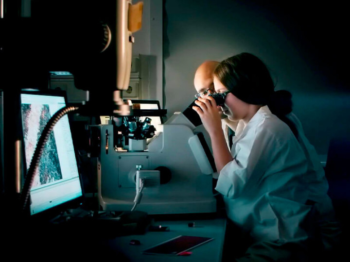 Dresden University of Technology