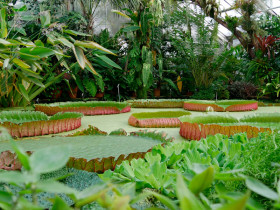 Dresden University of Technology