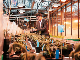 Karlsruhe Institute of Technology