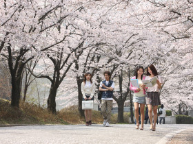 Dankook University