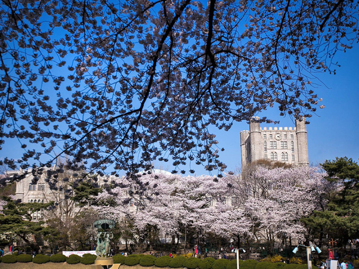 Kyung Hee University