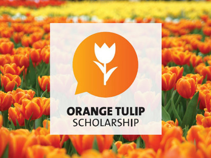 Стипендия  Orange Tulip Scholarship: открыт прием заявок на 2022–2023 учебный год