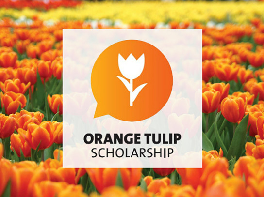 Стипендия  Orange Tulip Scholarship: открыт прием заявок на 2022–2023 учебный год