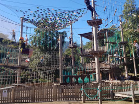 Языковой лагерь PASCAL English