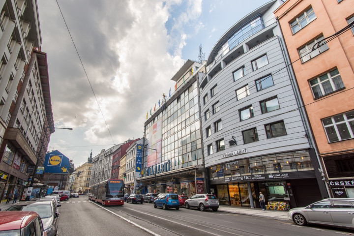 Mezinárodní  Svaz Mládeže