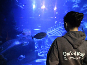 Oxford Royale Academy Junior Summer School