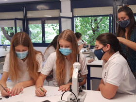 SEK International School El Catalunya