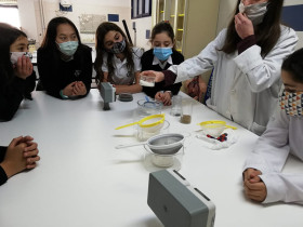 SEK International School El Catalunya