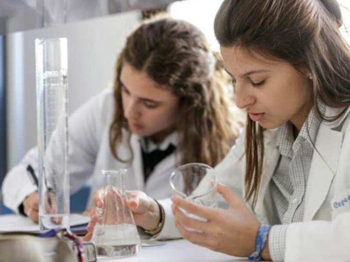 International School San Patricio Toledo